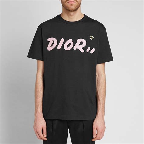 dior x kaws bee t shirt|dior x kaws bee.